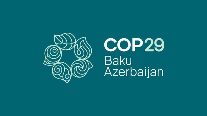 Выступление глав государств-членов СНГ на Климатической конференции ООН